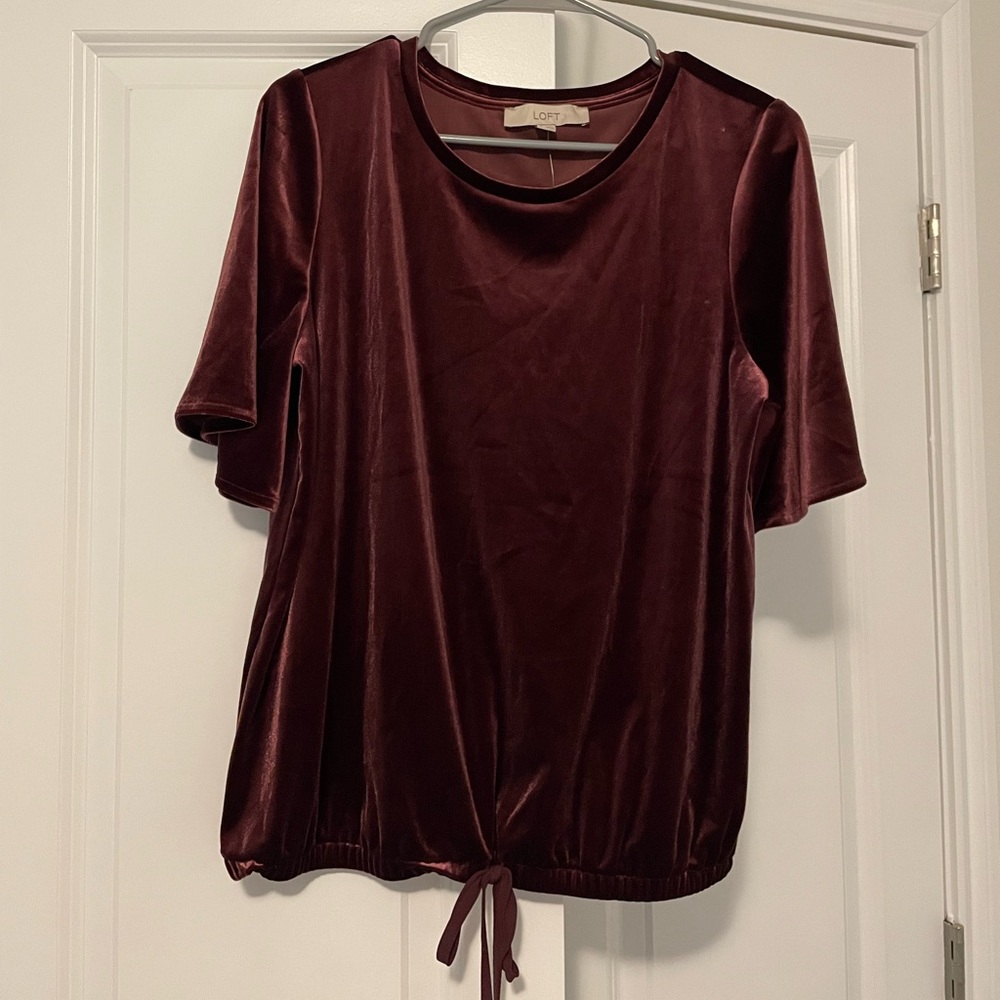NWT LOFT Velvet Short Sleeve Shirt
